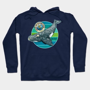 EDGE OF EXTINCTION North Atlantic Right Whale Hoodie